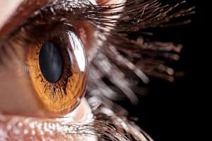 A closeup image of the cornea of an eye