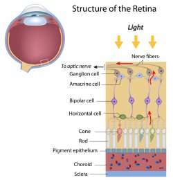 Retinal Disorders Overview - Complete Eye Care of Medina